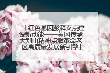 红色基因澎湃支点建设新动能——黄冈传承大别山精神点燃革命老区高质量发展新引擎