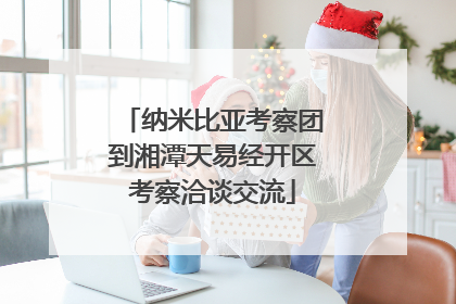 纳米比亚考察团到湘潭天易经开区考察洽谈交流