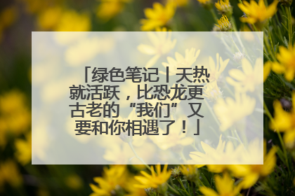 绿色笔记丨天热就活跃，比恐龙更古老的“我们”又要和你相遇了！