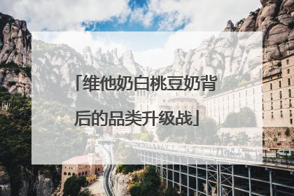 维他奶白桃豆奶背后的品类升级战