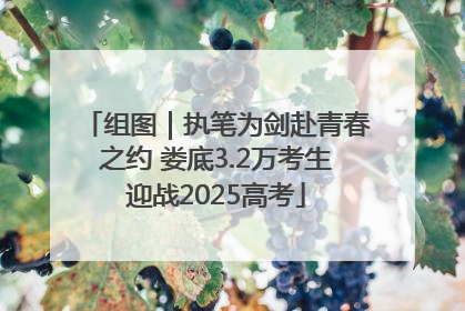 组图｜执笔为剑赴青春之约 娄底3.2万考生迎战2025高考