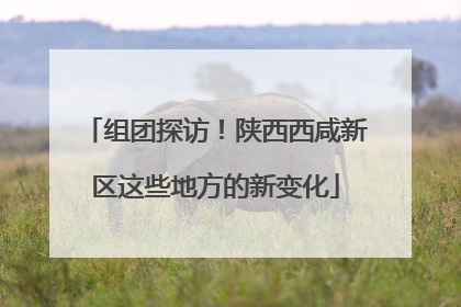 组团探访！陕西西咸新区这些地方的新变化