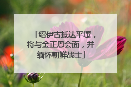 绍伊古抵达平壤，将与金正恩会面，并缅怀朝鲜战士