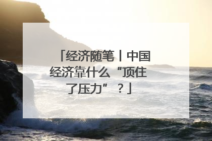 经济随笔丨中国经济靠什么“顶住了压力”？