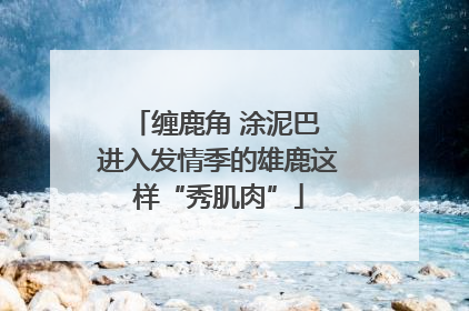缠鹿角 涂泥巴 进入发情季的雄鹿这样“秀肌肉”