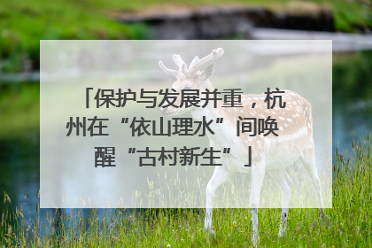 保护与发展并重，杭州在“依山理水”间唤醒“古村新生”