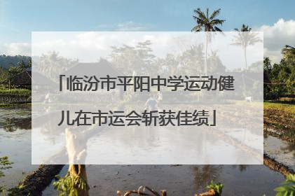 临汾市平阳中学运动健儿在市运会斩获佳绩