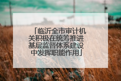 临沂全市审计机关积极在统筹推进基层监督体系建设中发挥职能作用