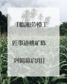 临湘劳模工匠事迹桃矿陈列揭幕启用