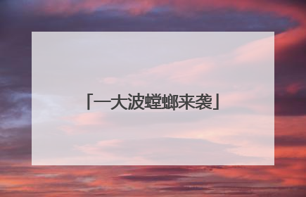 一大波螳螂来袭