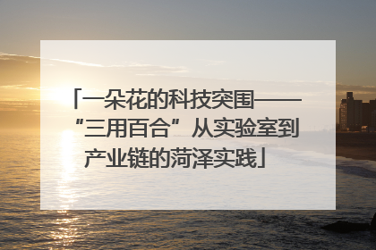 一朵花的科技突围——“三用百合”从实验室到产业链的菏泽实践