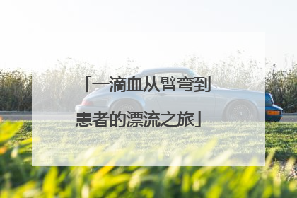 一滴血从臂弯到患者的漂流之旅