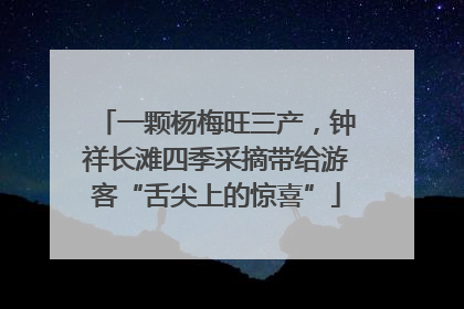 一颗杨梅旺三产，钟祥长滩四季采摘带给游客“舌尖上的惊喜”