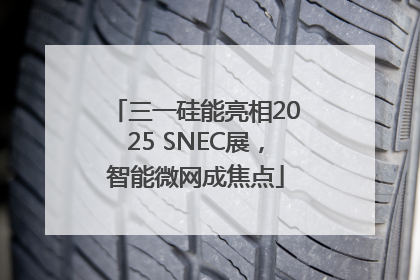 三一硅能亮相2025 SNEC展，智能微网成焦点