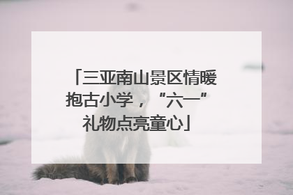 三亚南山景区情暖抱古小学，“六一”礼物点亮童心
