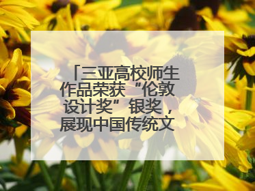 三亚高校师生作品荣获“伦敦设计奖”银奖，展现中国传统文化创新魅力