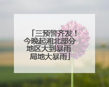 三预警齐发！今晚起湘北部分地区大到暴雨 局地大暴雨