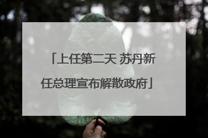 上任第二天 苏丹新任总理宣布解散政府