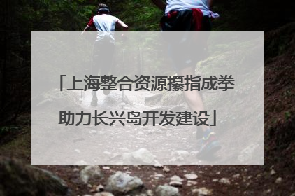 上海整合资源攥指成拳助力长兴岛开发建设