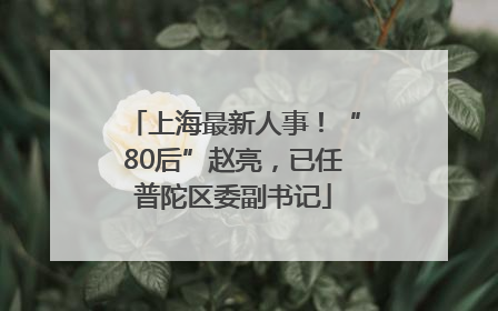 上海最新人事！“80后”赵亮，已任普陀区委副书记