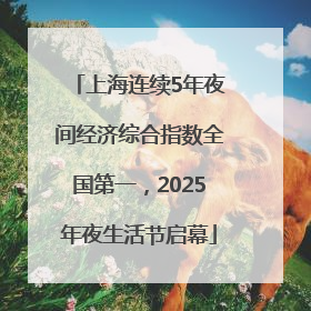 上海连续5年夜间经济综合指数全国第一，2025年夜生活节启幕