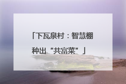 下瓦泉村：智慧棚种出“共富菜”