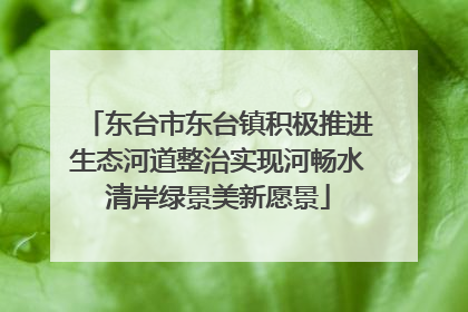东台市东台镇积极推进生态河道整治实现河畅水清岸绿景美新愿景