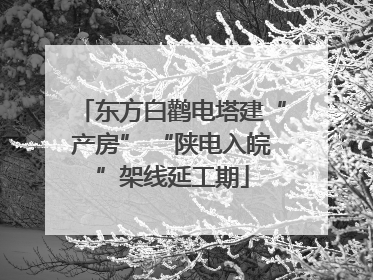 东方白鹳电塔建“产房” “陕电入皖”架线延工期