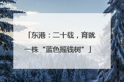 东港：二十载，育就一株“蓝色摇钱树”