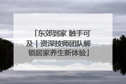 东郊到家 触手可及｜资深技师团队解锁居家养生新体验