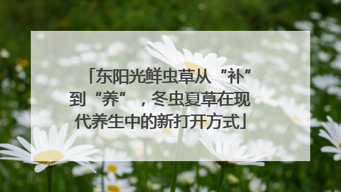东阳光鲜虫草从“补”到“养”，冬虫夏草在现代养生中的新打开方式