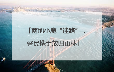两地小鹿“迷路”，警民携手放归山林