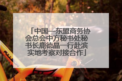 中国—东盟商务协会总会中方秘书处秘书长鹿德晶一行赴滨实地考察对接合作