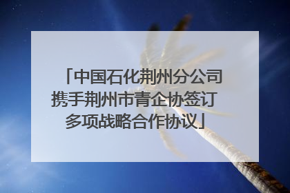 中国石化荆州分公司携手荆州市青企协签订多项战略合作协议