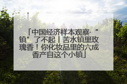 中国经济样本观察·“镇”了不起丨苦水镇里玫瑰香！你化妆品里的六成香产自这个小镇