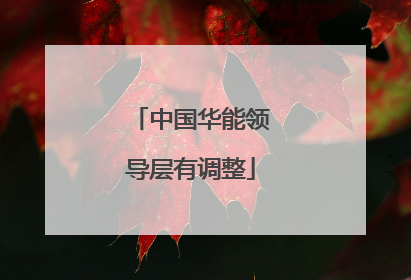 中国华能领导层有调整