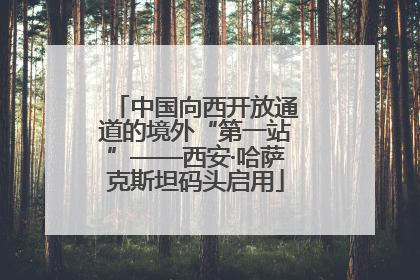 中国向西开放通道的境外“第一站”——西安·哈萨克斯坦码头启用