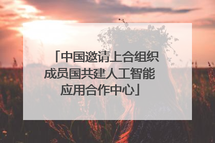 中国邀请上合组织成员国共建人工智能应用合作中心