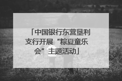 中国银行东营垦利支行开展“粽夏童乐会”主题活动