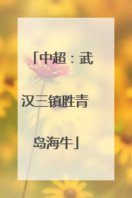 中超：武汉三镇胜青岛海牛