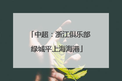 中超：浙江俱乐部绿城平上海海港