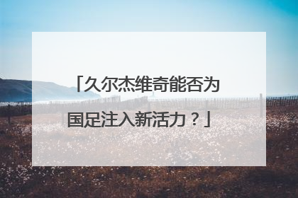 久尔杰维奇能否为国足注入新活力？