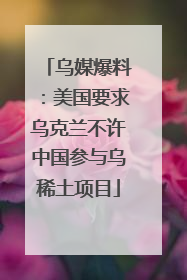 乌媒爆料：美国要求乌克兰不许中国参与乌稀土项目
