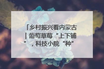 乡村振兴看内蒙古｜葡萄草莓“上下铺”，科技小院“种”出三倍效益
