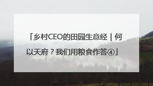 乡村CEO的田园生意经｜何以天府？我们用粮食作答④