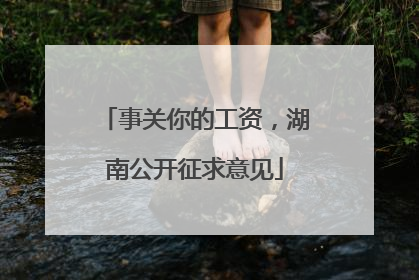 事关你的工资，湖南公开征求意见