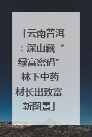 云南普洱：深山藏“绿富密码” 林下中药材长出致富新图景