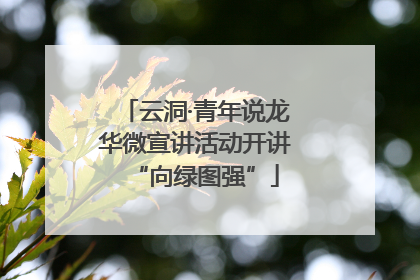 云洞·青年说龙华微宣讲活动开讲“向绿图强”