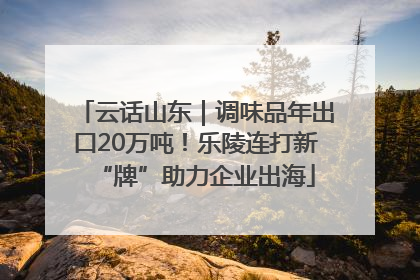 云话山东｜调味品年出口20万吨！乐陵连打新“牌”助力企业出海