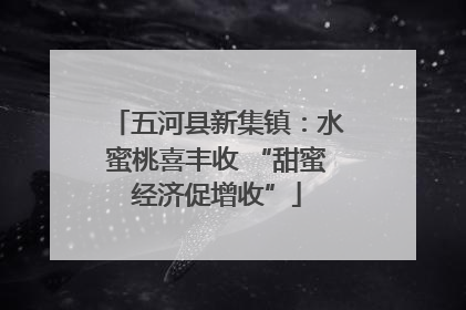 五河县新集镇：水蜜桃喜丰收 “甜蜜经济促增收”